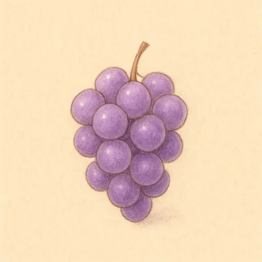 Illustrierte Lernkarte — Traube